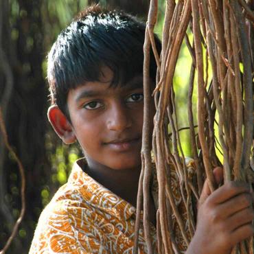 Human Impact Stories